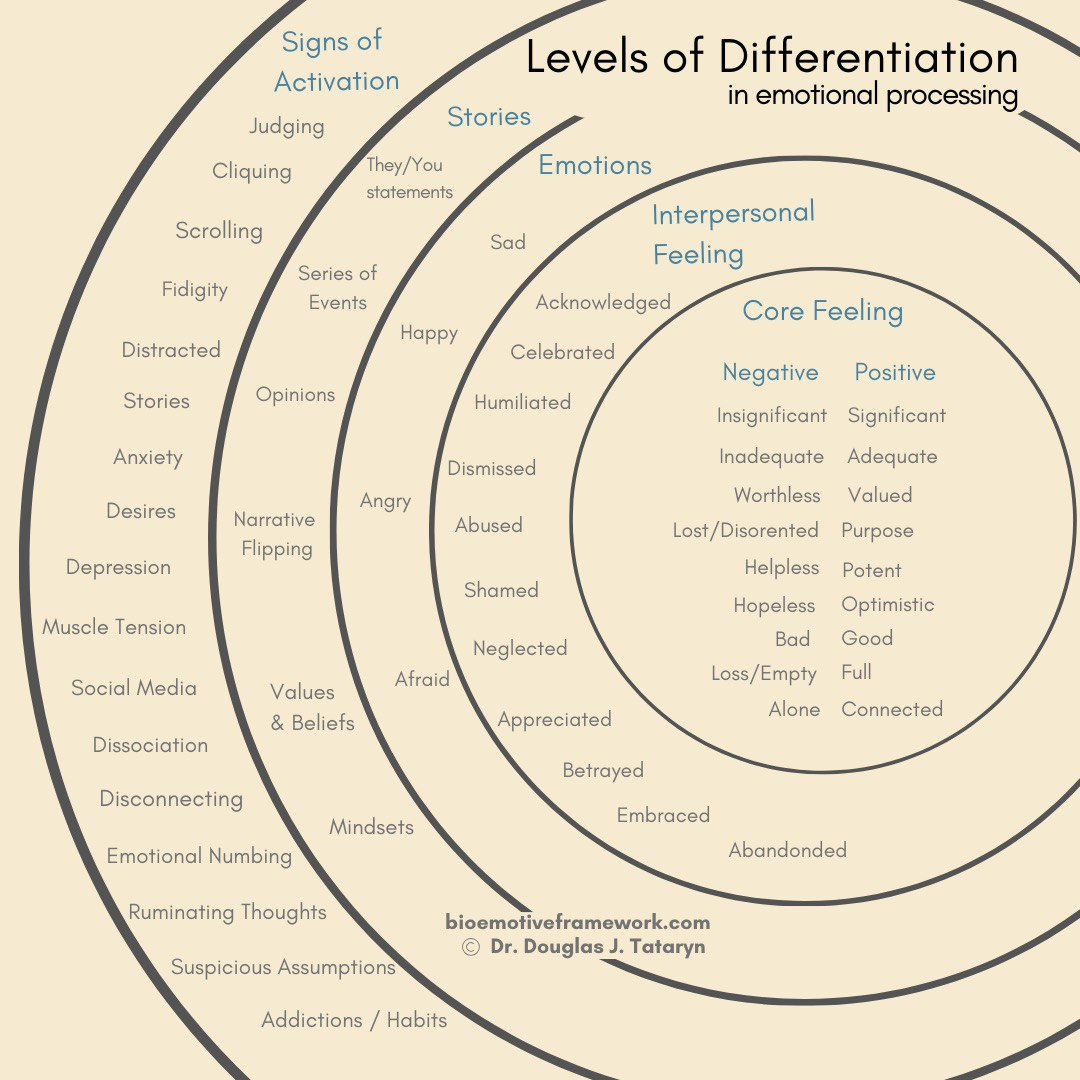 bio-emotive-framework.levels-of-differentiation-in-emotional-processing