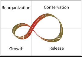 Panarchy cycle