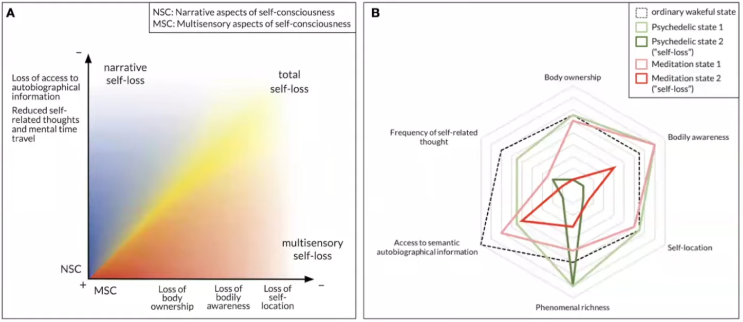 Self is a multidimensional construct